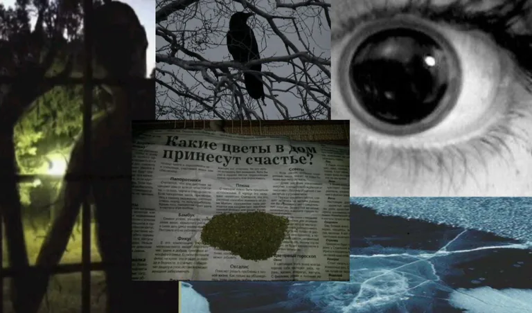 Иллюстрация к стихотворению «Трава» - Кондор; категории: Грусть и одиночество.